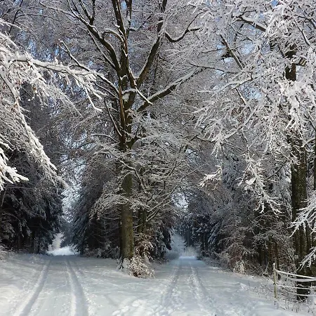 ゲストハウス Fuchsenlohe 3*