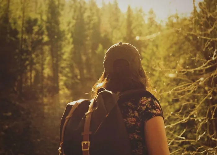 Fuchsenlohe Gæstehus Schlier