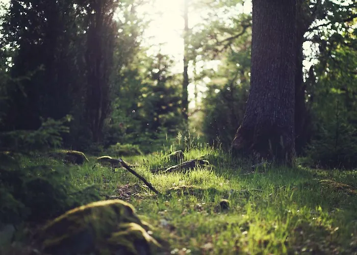 Gæstehus Fuchsenlohe 3*