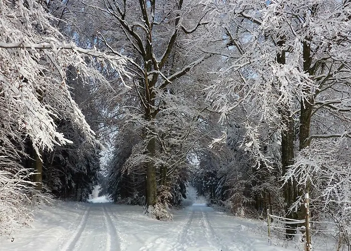 Pensjonat Fuchsenlohe 3*